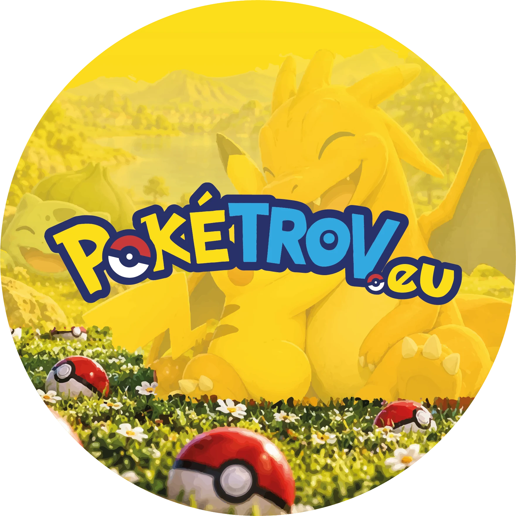 Grafický motív značky Pokétrov